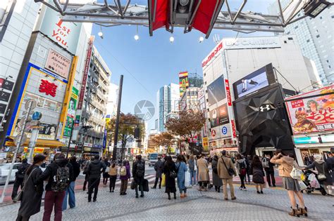 11 月 26 日|11月26日